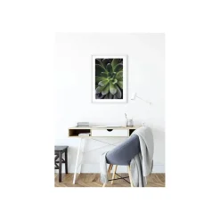 New Komar Wandbild Succulent Single 50x70 cm