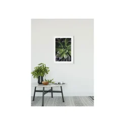 Sale Komar Wandbild Succulent Single 40x50 cm