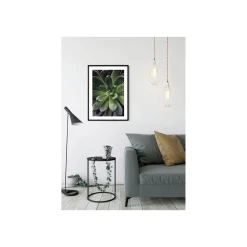 Sale Komar Wandbild Succulent Single 40x50 cm