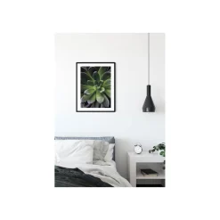 Sale Komar Wandbild Succulent Single 40x50 cm