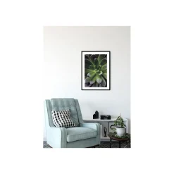 Sale Komar Wandbild Succulent Single 40x50 cm