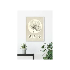 Online Komar Wandbild Transparent Leaf 50x70 cm