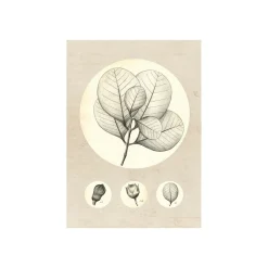 Online Komar Wandbild Transparent Leaf 50x70 cm
