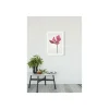 Sale Komar Wandbild Tulip 50x70 cm