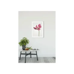 Sale Komar Wandbild Tulip 50x70 cm