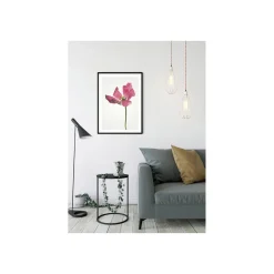 Sale Komar Wandbild Tulip 50x70 cm
