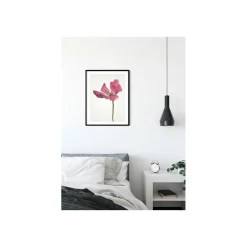Sale Komar Wandbild Tulip 50x70 cm