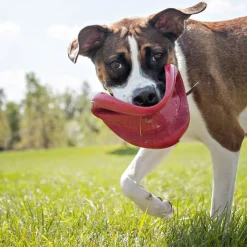 Online Kong HSZ Flyer Frisbee L rot Dm.22,5cmNaturkatuschuk