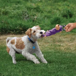 Clearance KONG Hundespielzeug Tugger Knots Affe lila 36 cm