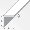 MyTool Winkel 20 x 20 x 1,5 mm 2m silber