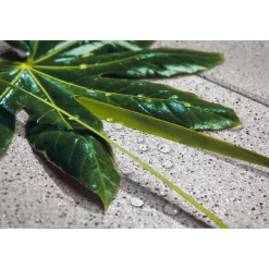 Diephaus No. 1 Edition -Granit 60/40/4cm