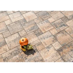 Hot No. 1 Nature Muschelkalk 60x60x4 cm