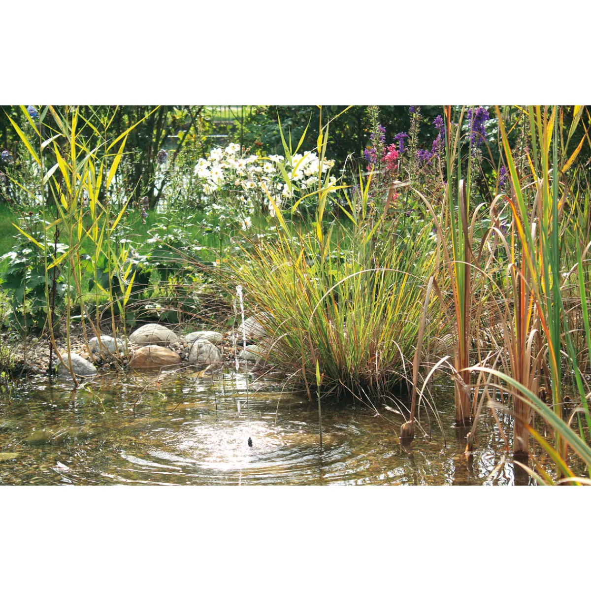 Outlet Oase PontecPondoSolar-Wasserspiel Solar 150