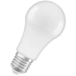 Clearance Osram LED-Leuchtmittel E27 100W matt