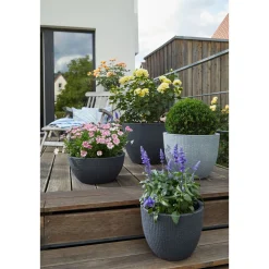Sale Scheurich Pflanzgefaess 47/295 Barceo