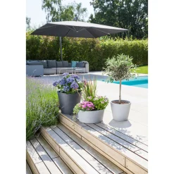 Outlet Scheurich Pflanzgefaess C-Cone 30/238