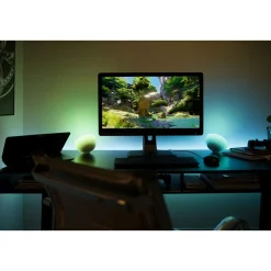 Online Philips Hue LED-Tischleuchte Go RGBW 6W weiß