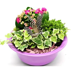 Sale Plantiflor Bepflanzte Gefäße mit Oster-Deko