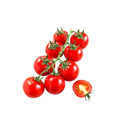 Discount Plantiflor Cocktailtomate plastikfrei Topf Durchmesser 12 cm