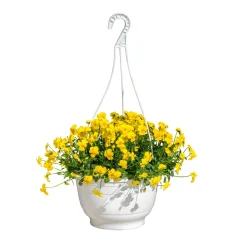 Online Plantiflor Hornveilchen Ampel Durchmesser 25 cm
