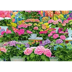 Clearance Plantiflor Hortensie Magical Four Seasons Topf Durchmesser 23 cm