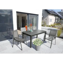 Best Plantiflor Margeritenbusch weiß im Topf Durchmesser 18 cm