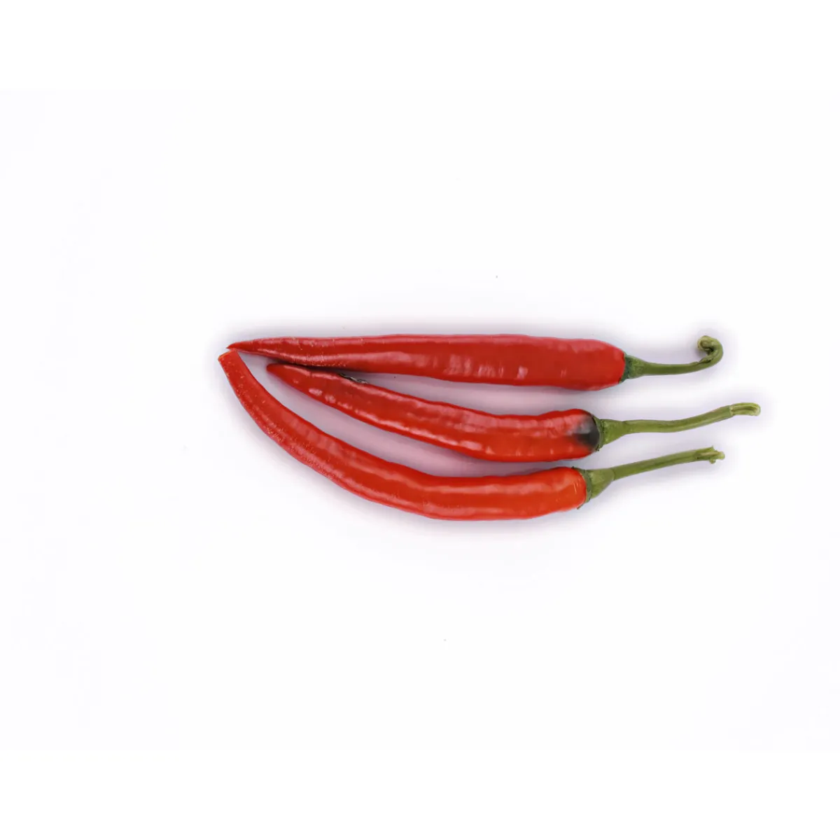 Hot Plantiflor Meisterklasse Peperonie Vulkan Topf Durchmesser 11 cm
