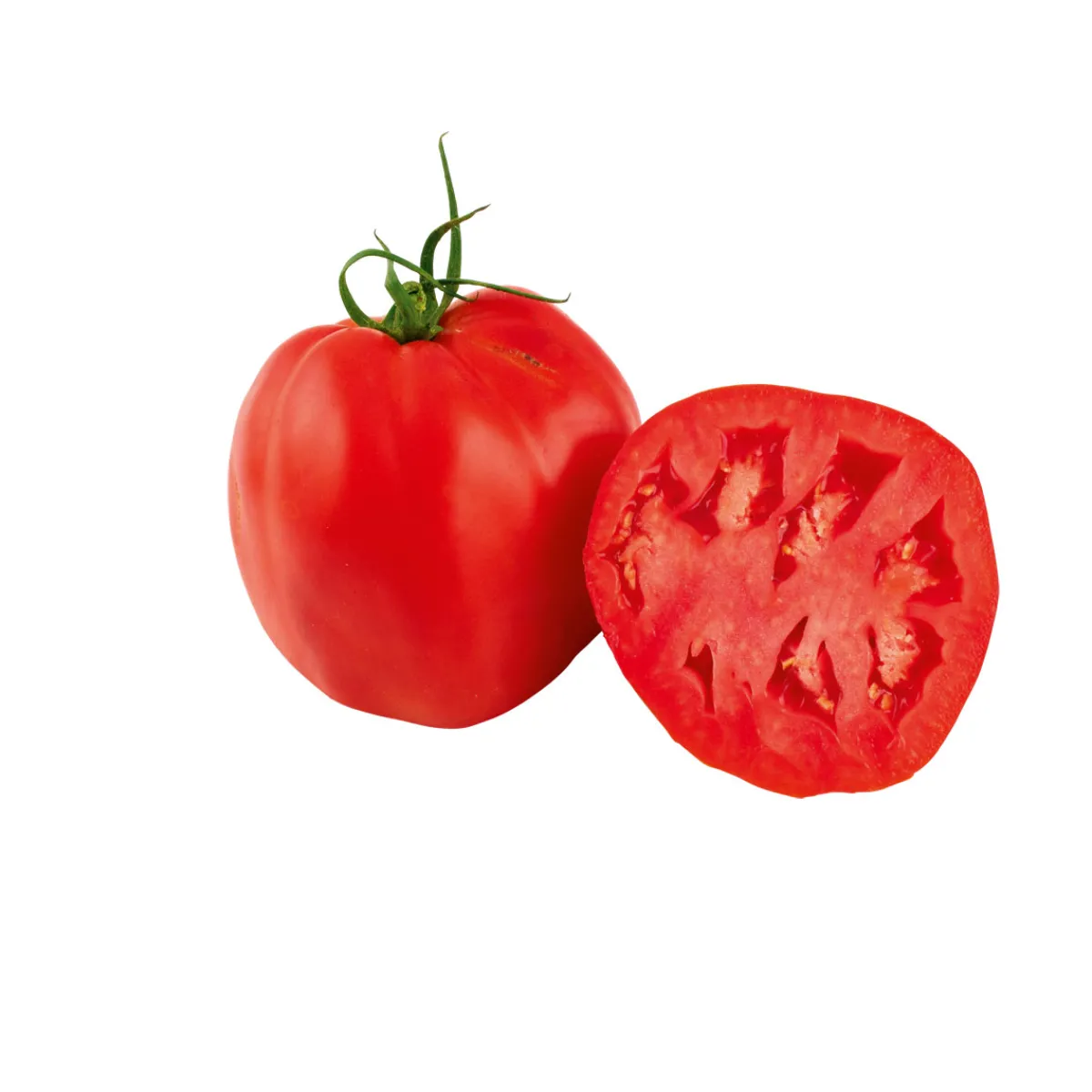 Hot Plantiflor Veredelte Salattomate Topf Durchmesser 12 cm