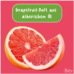 Discount Poliboy Bio Allzweckreiniger 500 ml
