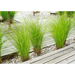 Discount Rettenmeier Terrassendiele Kiefer grau 200 x 12 x 2,1 cm