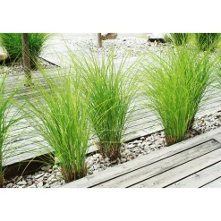 New Rettenmeier Terrassendiele grau 300 x 12 x 2,1 cm
