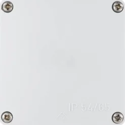 Outlet REV Ritter Abzweigkasten IP54/65 grau