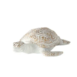 New Schildkroete Quila cm 2 Sorten