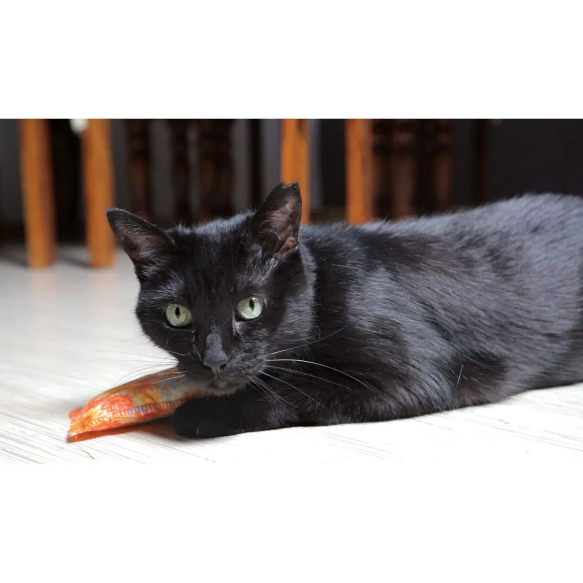 Sale Schmusekissen Classic mit Katzenminze versch Farben