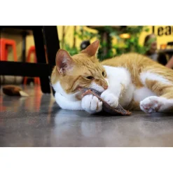 Sale Schmusekissen Classic mit Katzenminze versch Farben