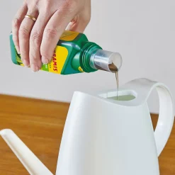 Best Seramis Vitalnahrung für Kakteen und Sukkulenten 200 ml