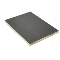 Best Sieb-/Filmplatte 2 x 225 x 1,2 cm