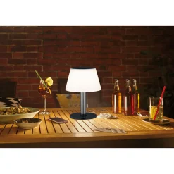Online Paulmann Solar TL Lillesol 3-Step dim EdelstahlIP44 3000K 100lm