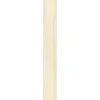 Outlet Specht Ambiente Paneel 10mm Birke hell