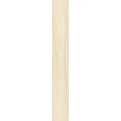 Specht Ambiente Paneel 10mm Birke hell