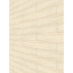 Specht Ambiente Paneel 10mm Birke hell