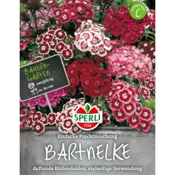 Best Sperli Bartnelken Prachtmischung