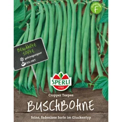 Hot Sperli Buschbohnen Cropper Teepee