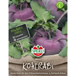 Sale Sperli Kohlrabi Blaro