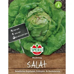Sale Sperli Kopfsalat Maikönig