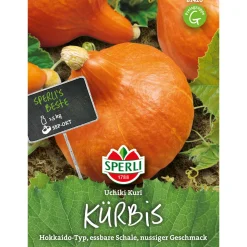 Best Sperli Kürbis Uchiki Kuri