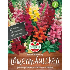 New Sperli Löwenmaul ngs Riesen