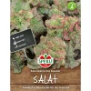 Sale Sperli Pflücksalat Amerikanischer brauner