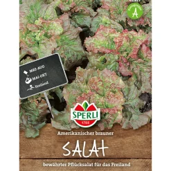 Sale Sperli Pflücksalat Amerikanischer brauner