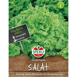 Hot Sperli Pflücksalat Grand Rapids
